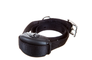 DogWatch Leash Trainer