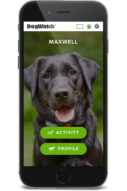 DogWatch of Southern MD, Prince Frederick, Maryland | SmartFence WebApp Image